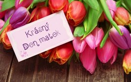 Titulní obrázek k příspěvku DOMÁCÍ ŠKOLA - týdenní plán