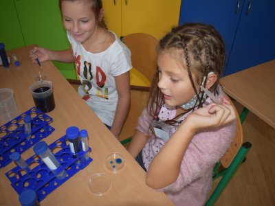 Obrázek 10073 