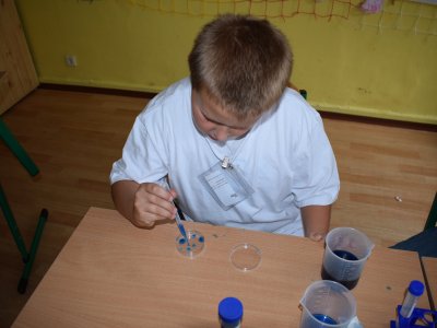 Obrázek 10083 