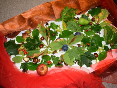 Obrázek 10084 