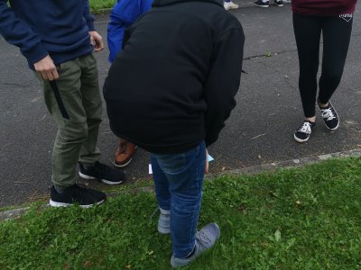 Obrázek 10196 