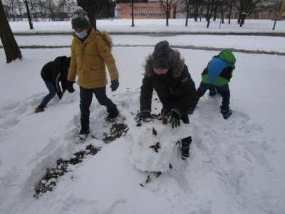Obrázek 10626 