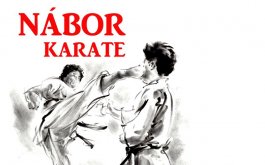 ŠSK Karate