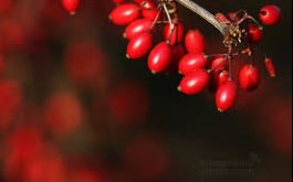 Týden 20.9.-24.9.