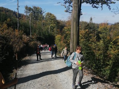 Obrázek 11169 