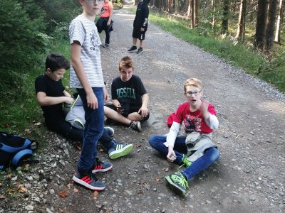 Obrázek 11175 