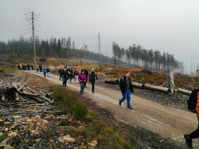 Obrázek 11346 