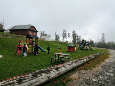 Obrázek 11361 