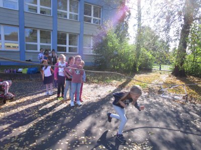 Obrázek 11466 