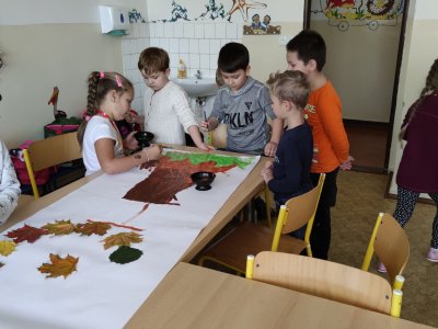 Obrázek 11635 