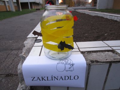 Obrázek 12001 