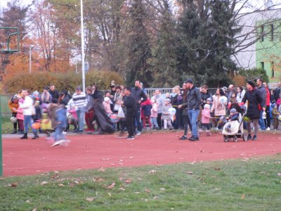 Obrázek 12006 