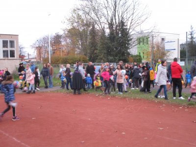 Obrázek 12004 