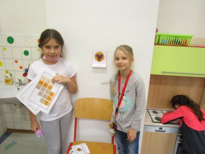 Obrázek 12081 