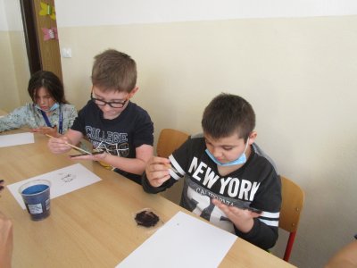 Obrázek 12255 