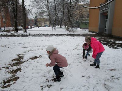 Obrázek 12674 