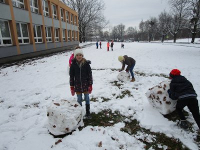 Obrázek 12675 