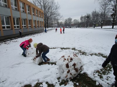 Obrázek 12672 