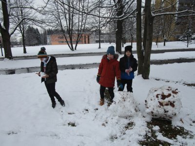 Obrázek 12673 