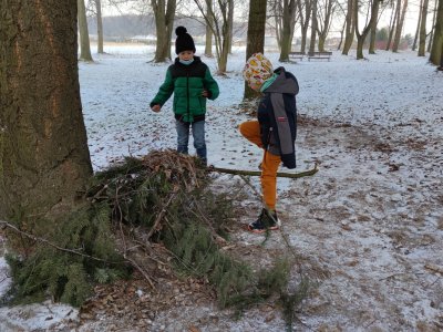 Obrázek 12915 