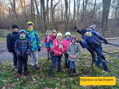 Obrázek 12943 