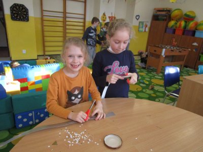 Obrázek 13118 