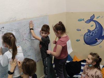 Obrázek 13469 