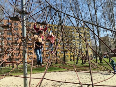 Obrázek 15041 