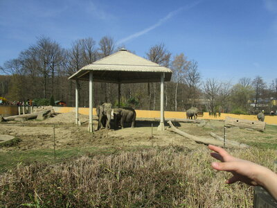 Obrázek 15114 