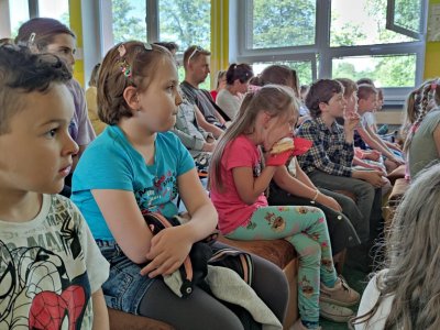 Obrázek 16061 