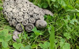 Titulní obrázek k příspěvku Kroužky v květnu