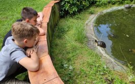Titulní obrázek k příspěvku Přírodovědná stanice