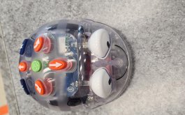 Titulní obrázek k příspěvku Robotická hračka Blue-Bot bluetooth beruška ve výuce informatiky