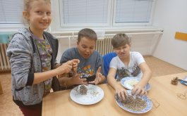 Titulní obrázek k příspěvku Lojové koule a noční schovka