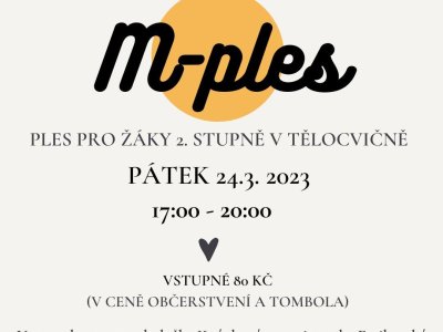 Obrázek 20939 