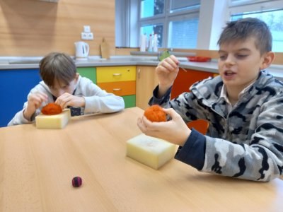 Obrázek 21067 
