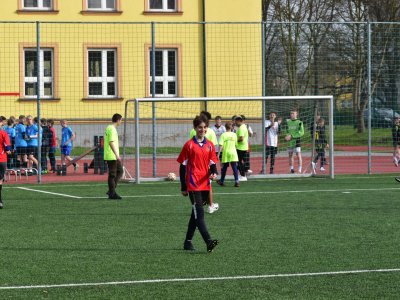 Obrázek 21208 
