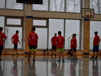 Obrázek 21213 
