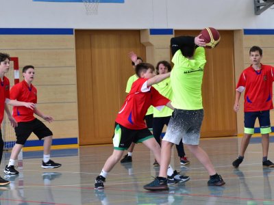 Obrázek 21212 