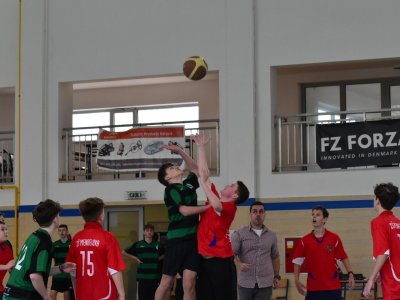 Obrázek 21223 