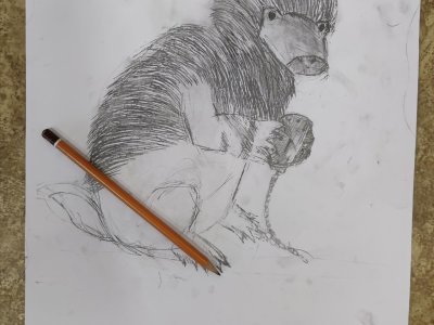 Obrázek 21277 