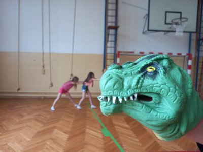 Obrázek 22590 