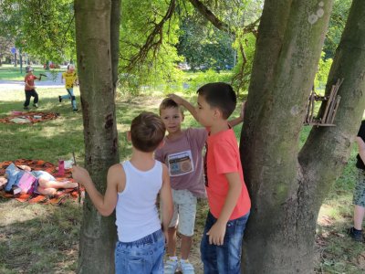 Obrázek 23438 