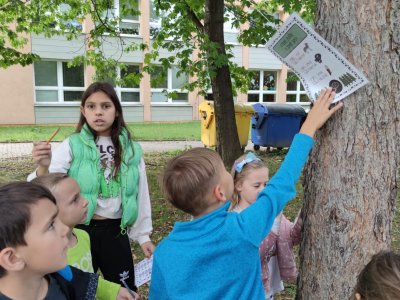 Obrázek 23720 