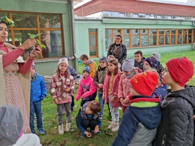 Obrázek 23846 
