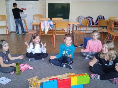 Obrázek 24033 