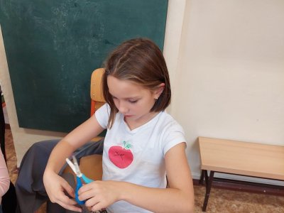 Obrázek 24263 