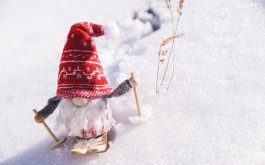 Titulní obrázek k příspěvku 11. - 15.12.2023