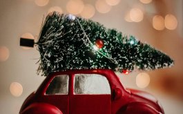 Titulní obrázek k příspěvku 18.- 22.12.2023