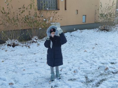 Obrázek 24585 
